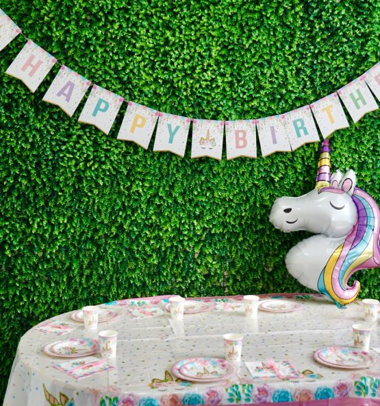 UNICORN 555x592